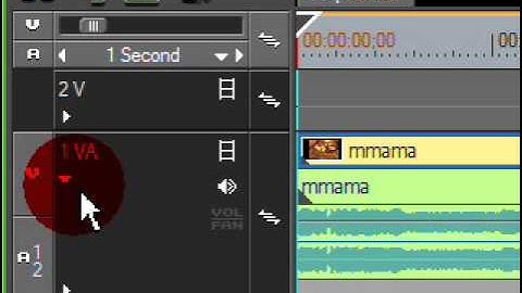 Learn Edius -6 (Adjusting Volume Level ) in HINDI
