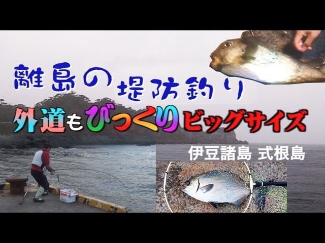 離島の堤防釣り 外道もデカイ 伊豆諸島 式根島 Surf Fishing Youtube