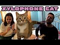 The Kiffness x Spaul - Xylophone Cat (Singing Cat Collab)