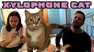 The Kiffness x Spaul  Xylophone Cat (Singing Cat Collab)