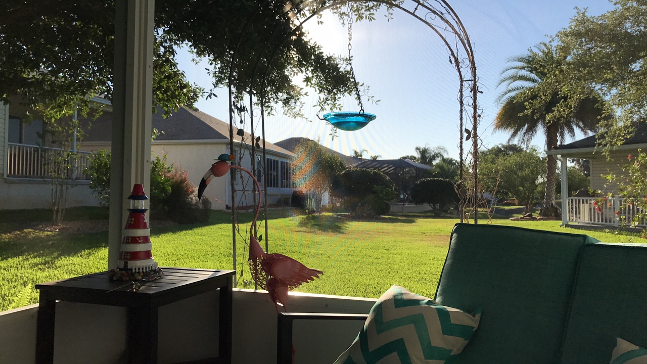 Good morning in The Villages, FL 2017 how to slice an avocado