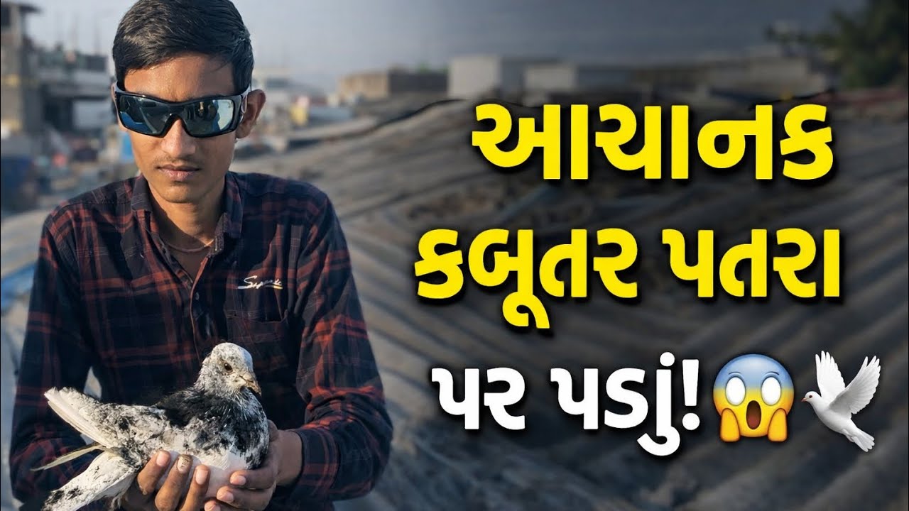કબુતર બાજુ ના ઘર મા પયરૂ ને કાકા આયવા ને બાજવાનુ થયું kabutar baju na ghar ma and kaka bayja