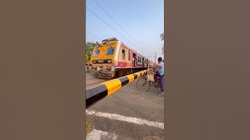 Furious Speedy Emu Skip Railgate #shorts #shortvideo #4k #indiantraininfo
