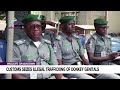 Wildlife Crackdown   Customs Seizes Illegal Trafficking Of Donkey Genitals