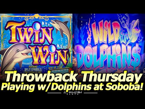 Twin Win and Wild For Dolphins Slots - Playing with dolphins at Soboba for Throwback Thursday!