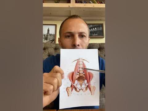 Почки и сексуальная энергия - YouTube