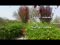 أمي الحنون محمد  بلواضح 2019