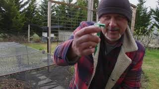 How To Peg Down Bird Netting