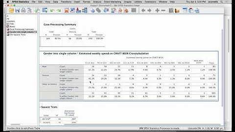 SPSS Crosstab/Chi2