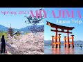 Day Trip to Miyajima Island in spring | Cherry blossoms, Mt. Misen, Itsukushima Shrine, Food 　| 宮島