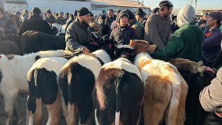 Нарх БАЛАНД БОША ИМРУЗ МОЛБОЗОРИ ДУШАНБЕ ЛЕНСКИЙ РАЙОН ГОВИ ШИРИ БУКА ГУСАЛАЧА 14 февраля 2024 г.