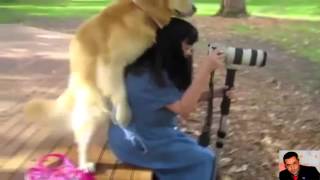 Komik Köpek Kadına Saldırdı