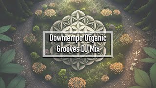 Downtempo Organic Grooves DJ Mix | Chill Music | Electronica