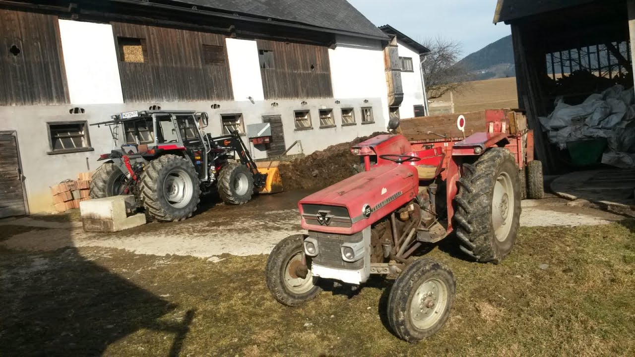 Massey Ferguson 135 / 352 / Miststreuen / muck spreading / Perkins Power / 2020