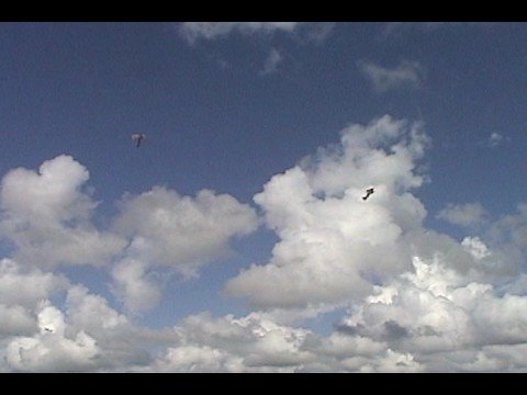Five Bipes - Ends with Crash