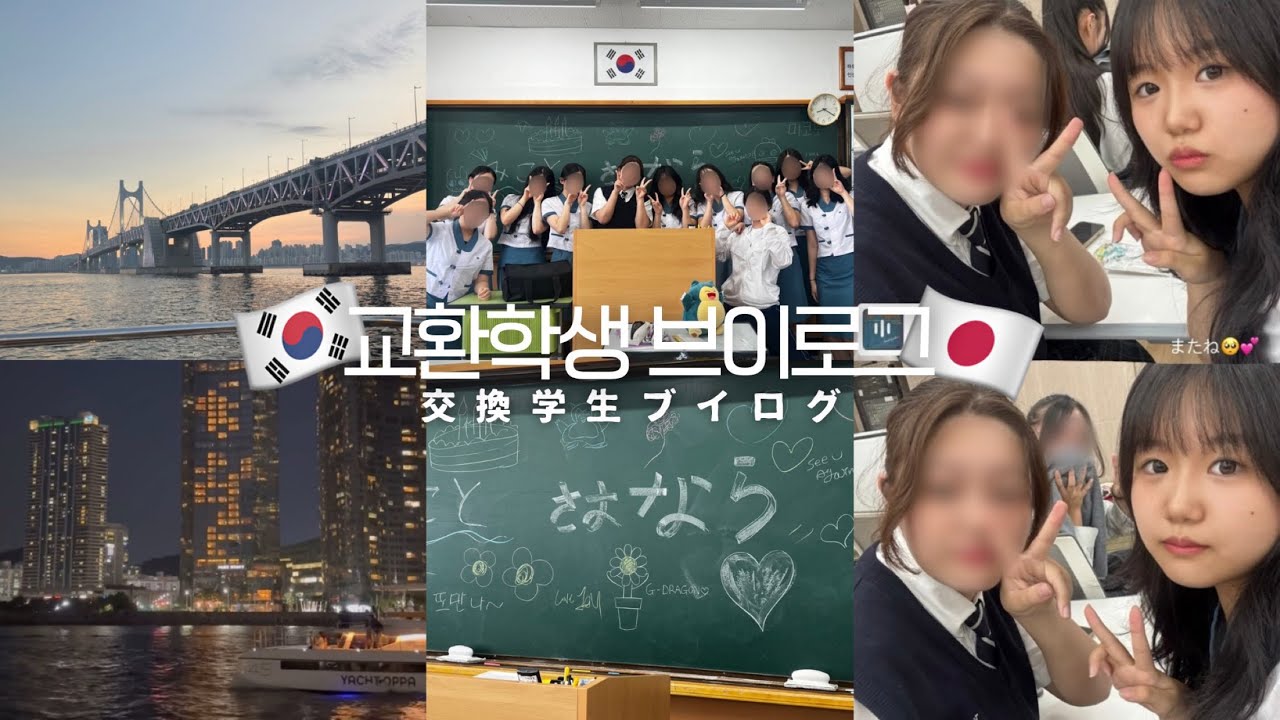 🇰🇷한일🇯🇵 교환학생 브이로그 | 눈물바다💦 | 08 브이로그