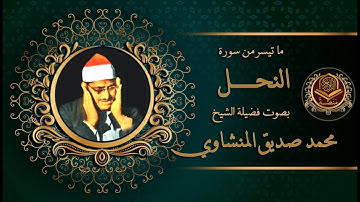 الشيخ محمد صديق المنشاوي يتألق في سماء التلاوة و يتلو من سورة النحل