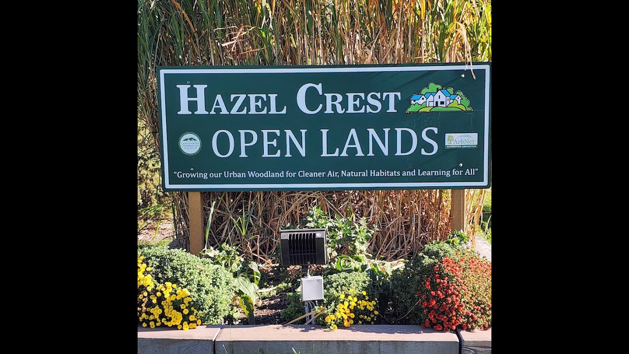 Open Lands,  Hazel Crest, July 22, 2025