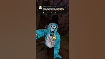 Replying To Your Guys’ Comments Part Three! #gorillatag