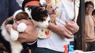 三毛猫のたま駅長15歳　喜寿のお祝いでケーキに舌鼓