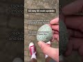 S3 Day 55 Rock Update