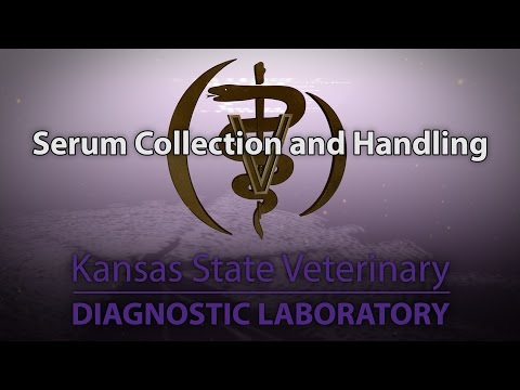 Serum Collection and Handling