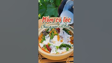 Hao cơm với mắm cá lóc chưng nước cốt dừa thơm béo miền Tây | Bếp Nhà Thanh