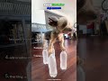 Ranking the funniest dogs moments 😂 #edit #shorts