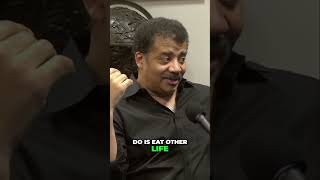 Neil deGrasse Tyson: Can We Eat Mirror-Image Life Forms?