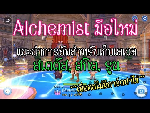 [ENG Sub] แนะนำการอัพสกิล+สเตตัส+รูน Alchemist ในการเก็บเลเวล (สำหรับคนไม่มีการ์ดปาไข่) : Ragnarok M