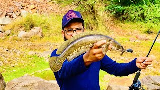First time snakehead fishing From Almatti Dam on Zman goat lure- Krishna river North Karnataka screenshot 1