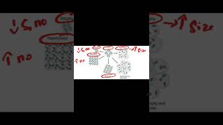Pathology-Cellular adaptations Net Worth