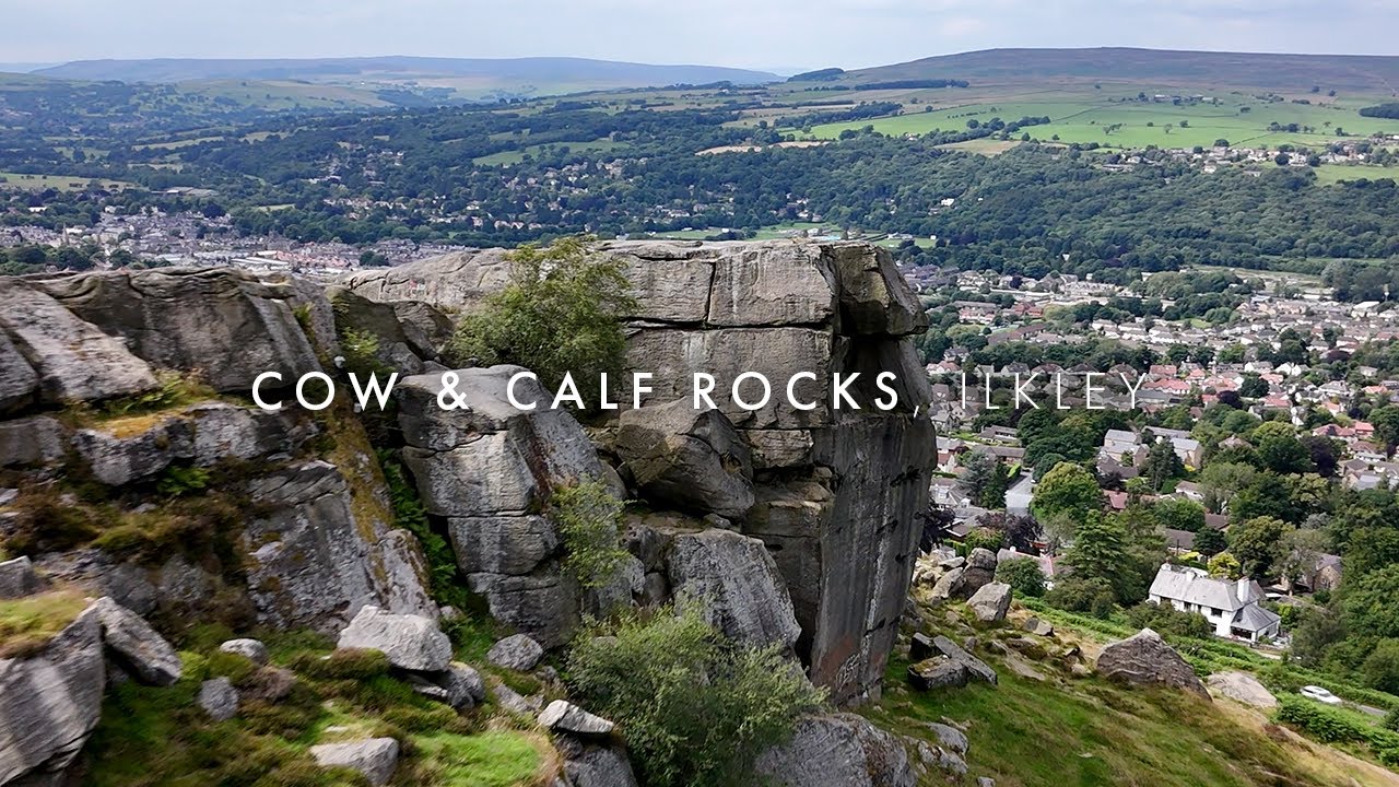 Cow and Calf - Ilkley Moor, UK by Drone (DJI Mini Pro 4) 4K