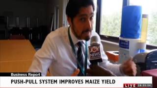 PUSH-PULL FOR MAIZE CULTIVATION