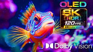 Pure Visual Perfection in 8K Ultra HDR – Dolby Vision | 120FPS