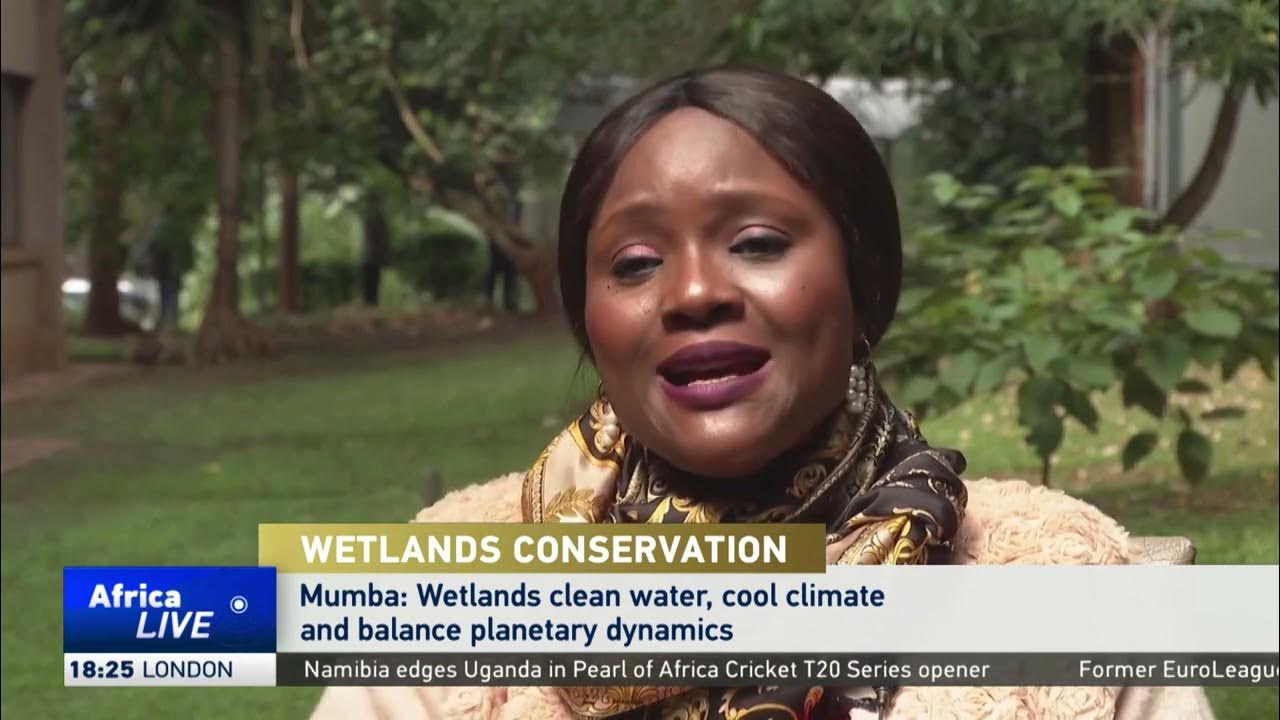 Strong appeals for wetlands conservation ahead of Ramsar COP15