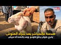 صدمة عالمباشر بعد شراء العلوش يشري علوش يدفع فلوسو وبعد يكتشف أنه مريض 
