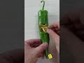 سرقة محترف تهريب ذهب