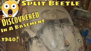 Oldest beetle in the USA Discovered in a basement!