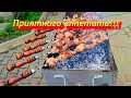 Жарю вкусный шашлык дома. Шашлык из свинины, шашлындос огонь!