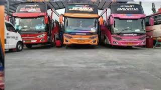 story wa bus stj MOWGLI