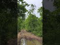গ্রাম বাংলার চিত্র... #village #villagelife #villagevlog #villagelifestyle #village_vlog #rurallife