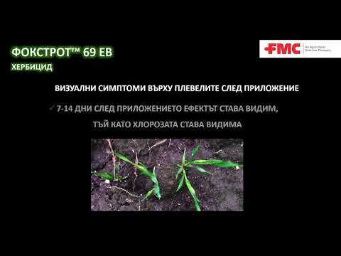 Видео: Червена тухла (37 снимки): състав и параметри на кухи продукт от една и половина, марки и характеристики на обикновените тухли, как са направени?