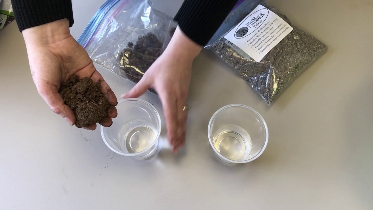 Movie Monday: Pitt vs Peat with PittMoss