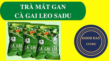 Trà mát gan cà gai leo Sadu,giảm men gan,tăng cường chức năng giải độc của gan - GOOD DAY STORE
