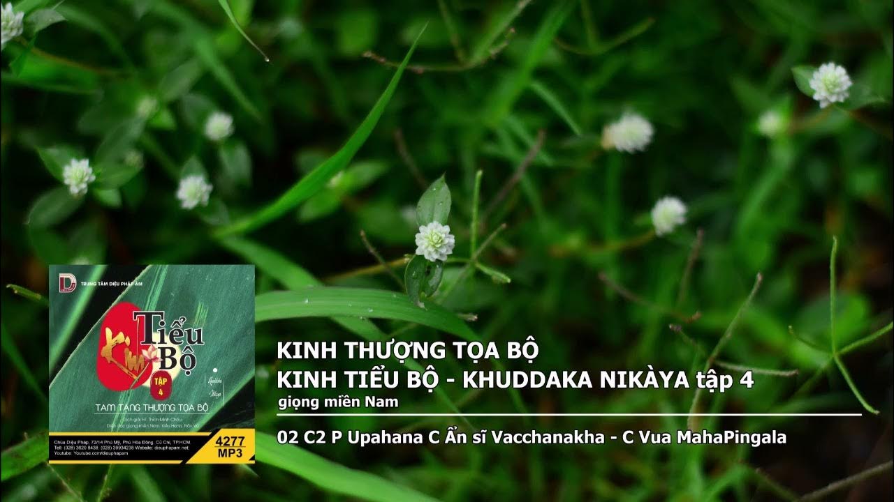 Tập 4 – 02 C2 P Upahana C Ẩn sĩ Vacchanakha – C Vua MahaPingala giọng miền Nam 