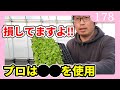 種まき 苗の育て方 プロがプラグトレイを使う理由 ガーデニング 家庭菜園ｂｙ園芸チャンネル　178