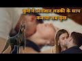 कुत्ते ने करवाया अनजान लडकी को Kiss | Movie Explain | @Berozgaar-g2f #lovestory #movieexplain