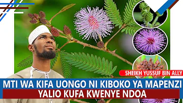 MTI WA KIFA UONGO NI KIBOKO MAPENZI YALIO KUFA KATIKA NDOA |SHEIKH YUSSUF BIN ALLY