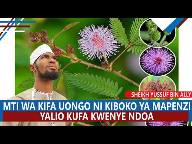 MTI WA KIFA UONGO NI KIBOKO MAPENZI YALIO KUFA KATIKA NDOA |SHEIKH YUSSUF BIN ALLY class=